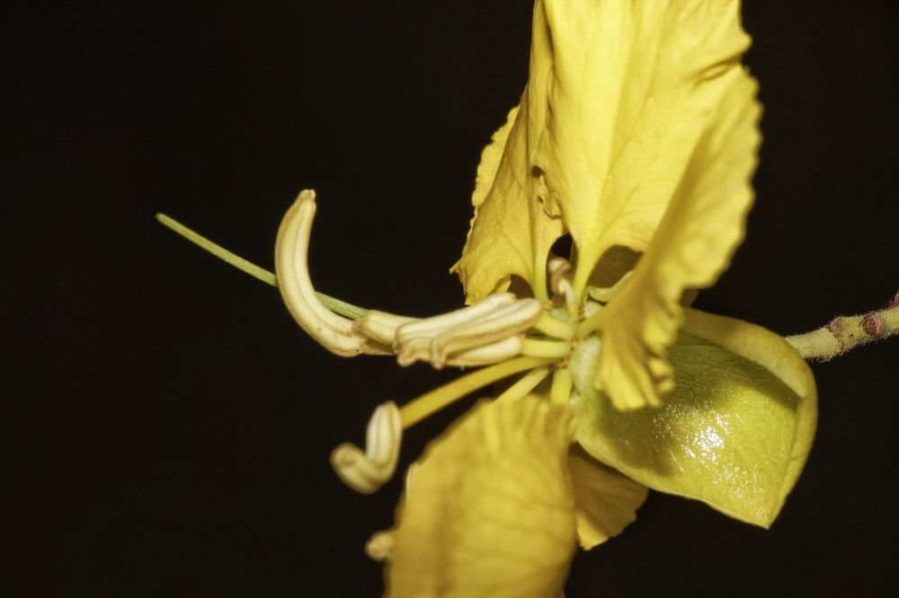 Photograph by Shalini Jain