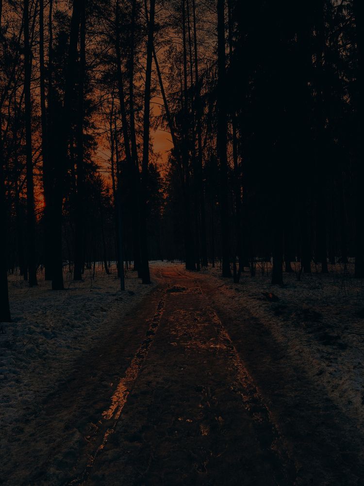 Фотография автора Юля