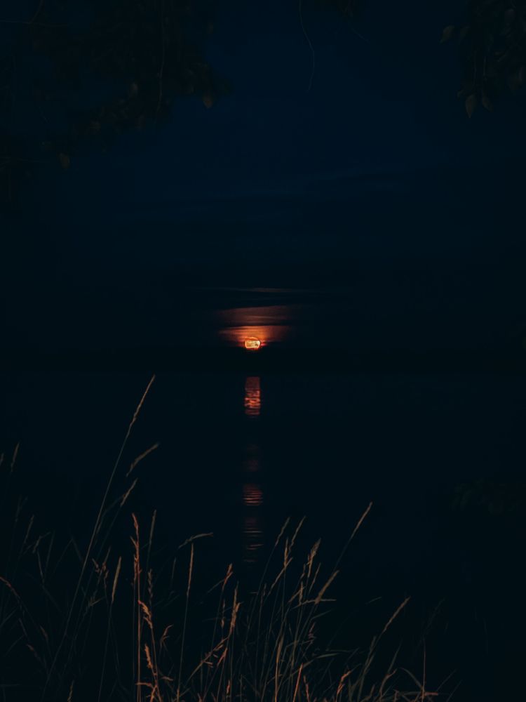 Фотография автора Юля