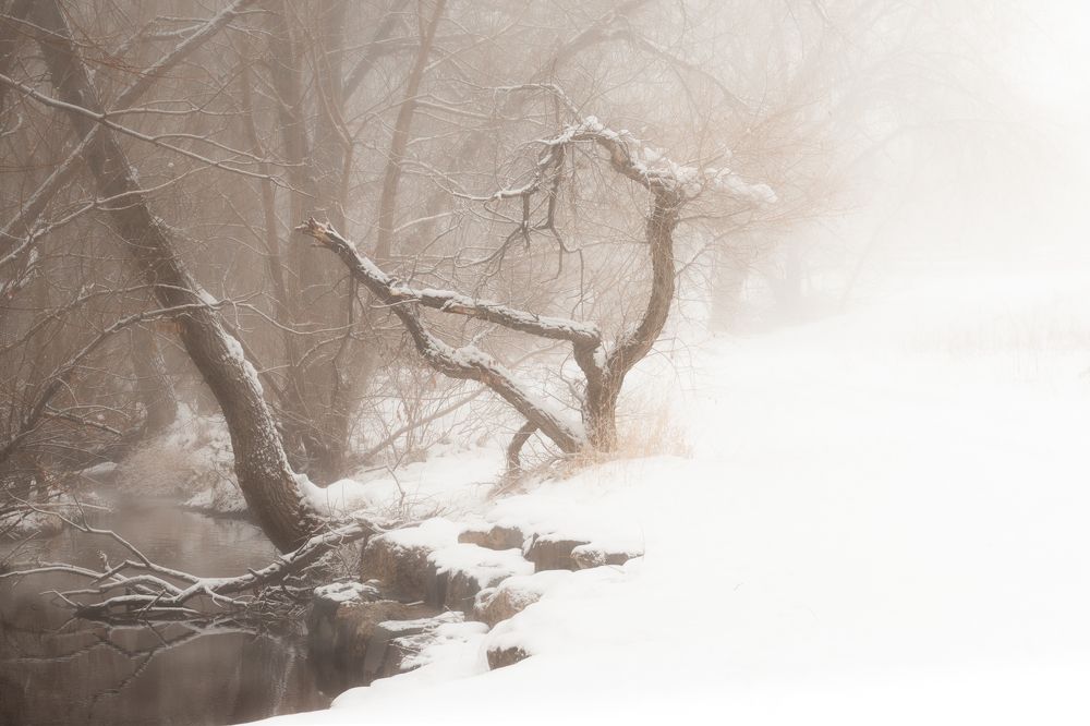 Photograph by Ellie Hayden