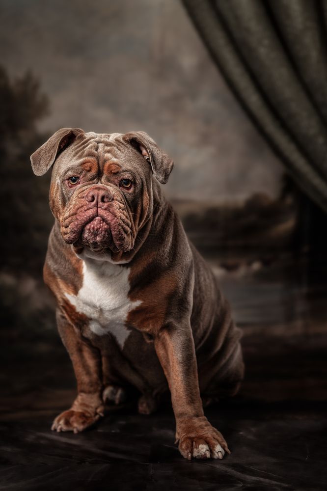 Photograph by Gertrude Goené