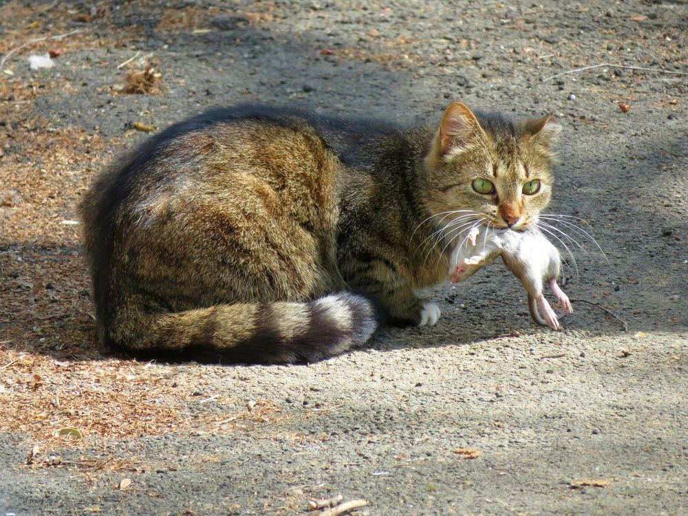 Photograph by Ольга Благовещенская