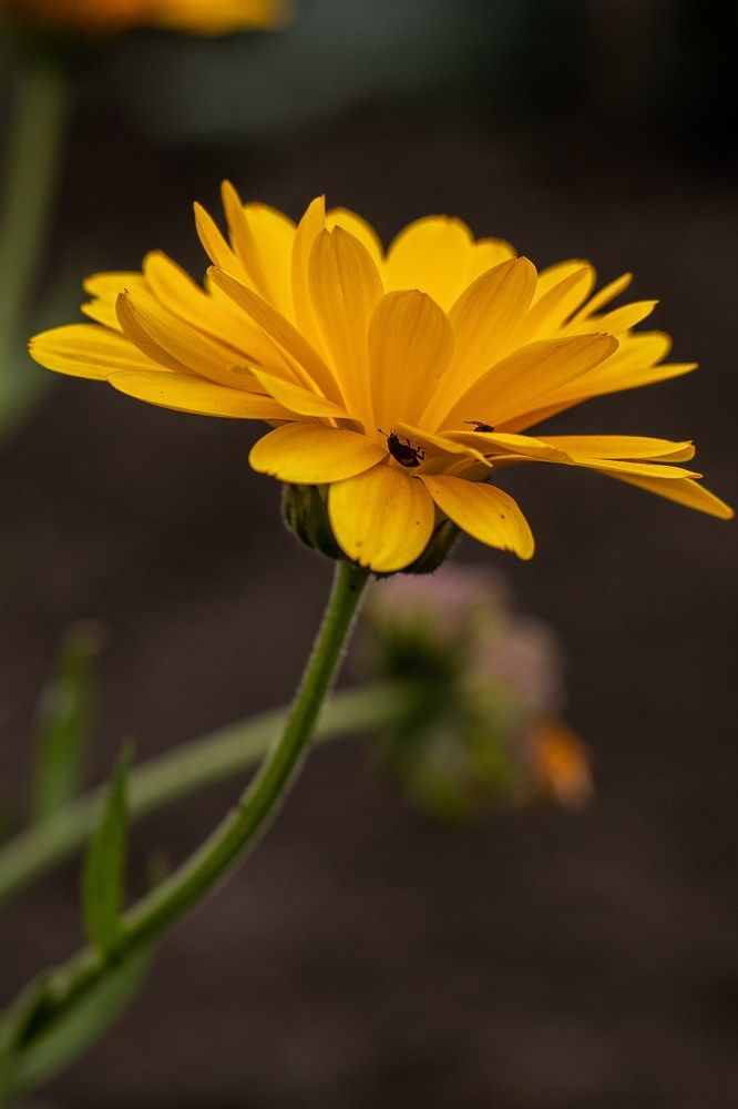 Photograph by Ирина Зиннурова