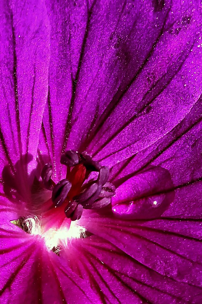 Photograph by Игорь Овсиенко