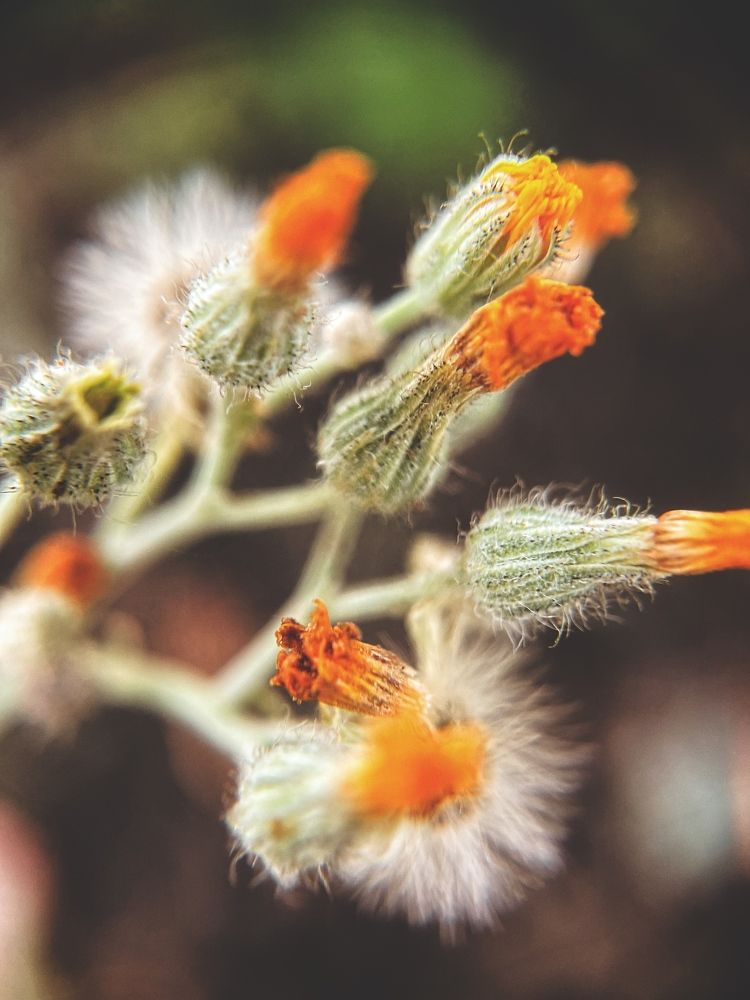 Photograph by Виктория Селютина