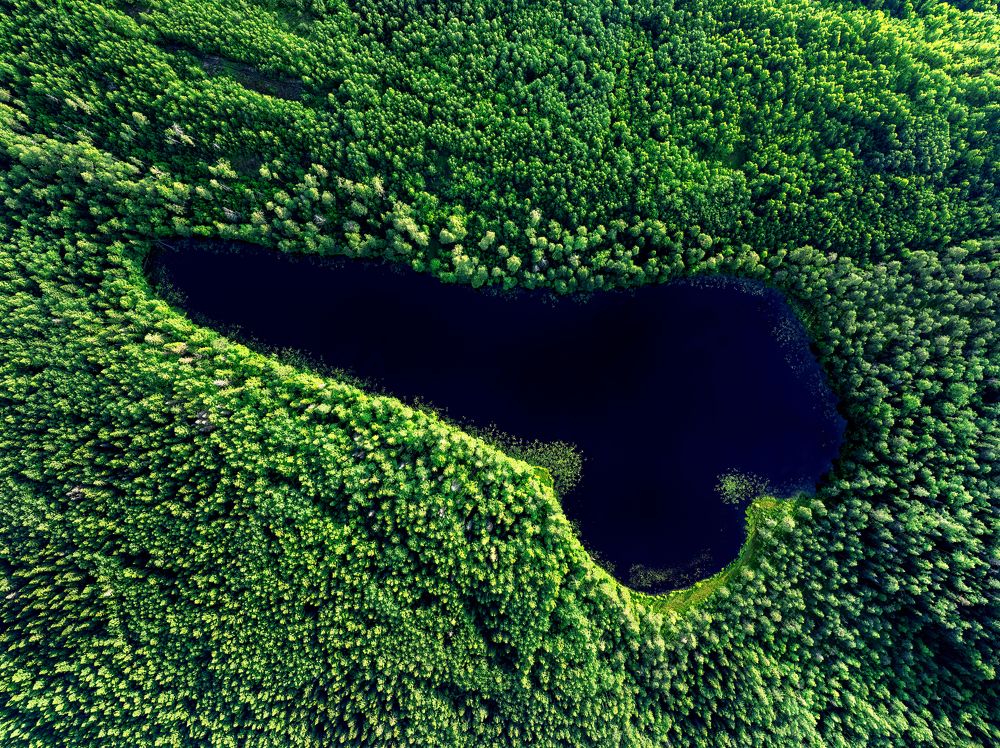 Причинное озеро.