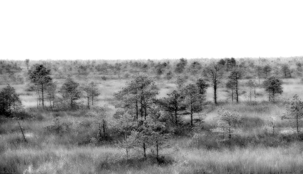 Photograph by Александр Поздняков