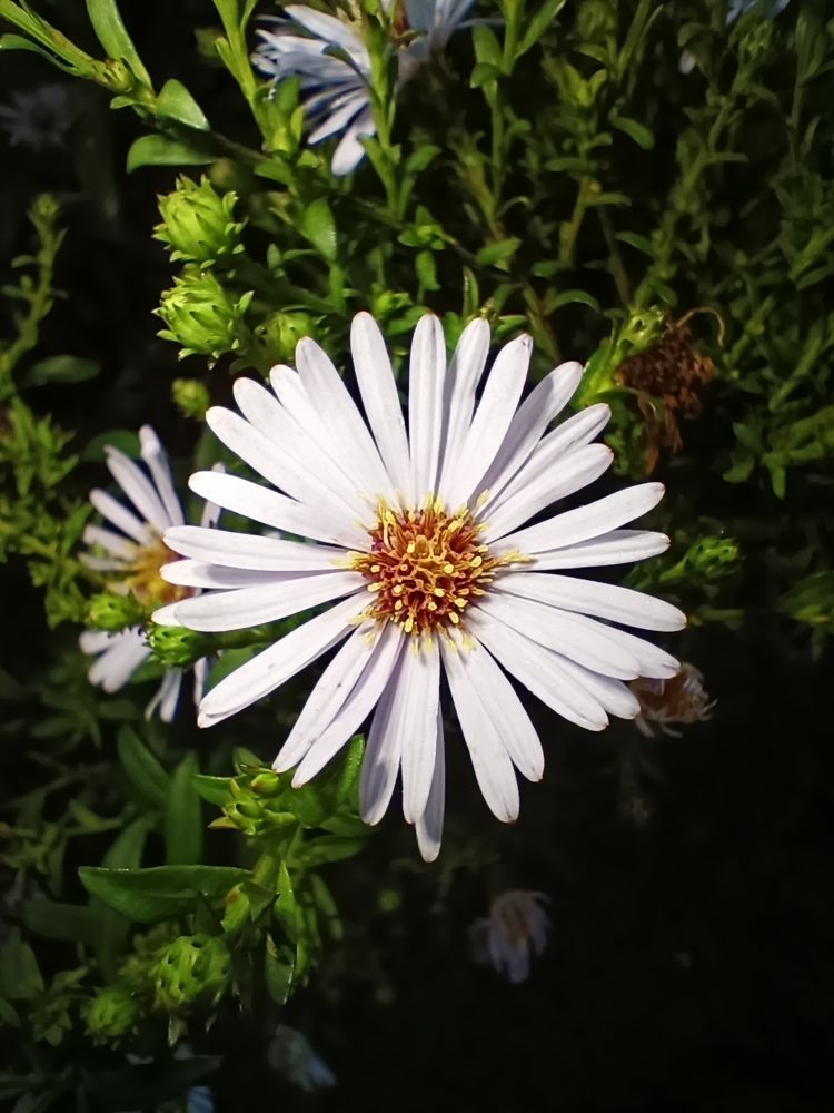 Фотография автора Андрей Занкович