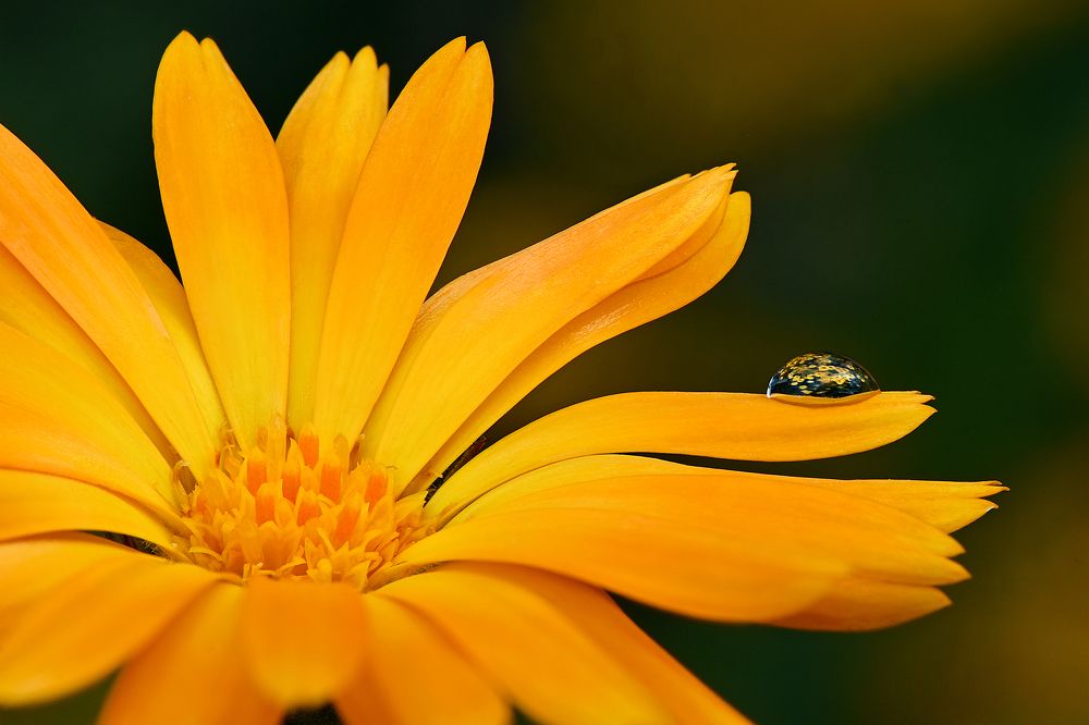 Photograph by  Сергей