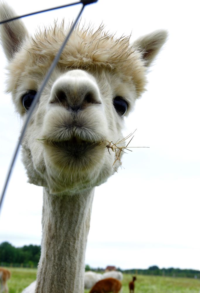 Photograph by Nadezda Sarap