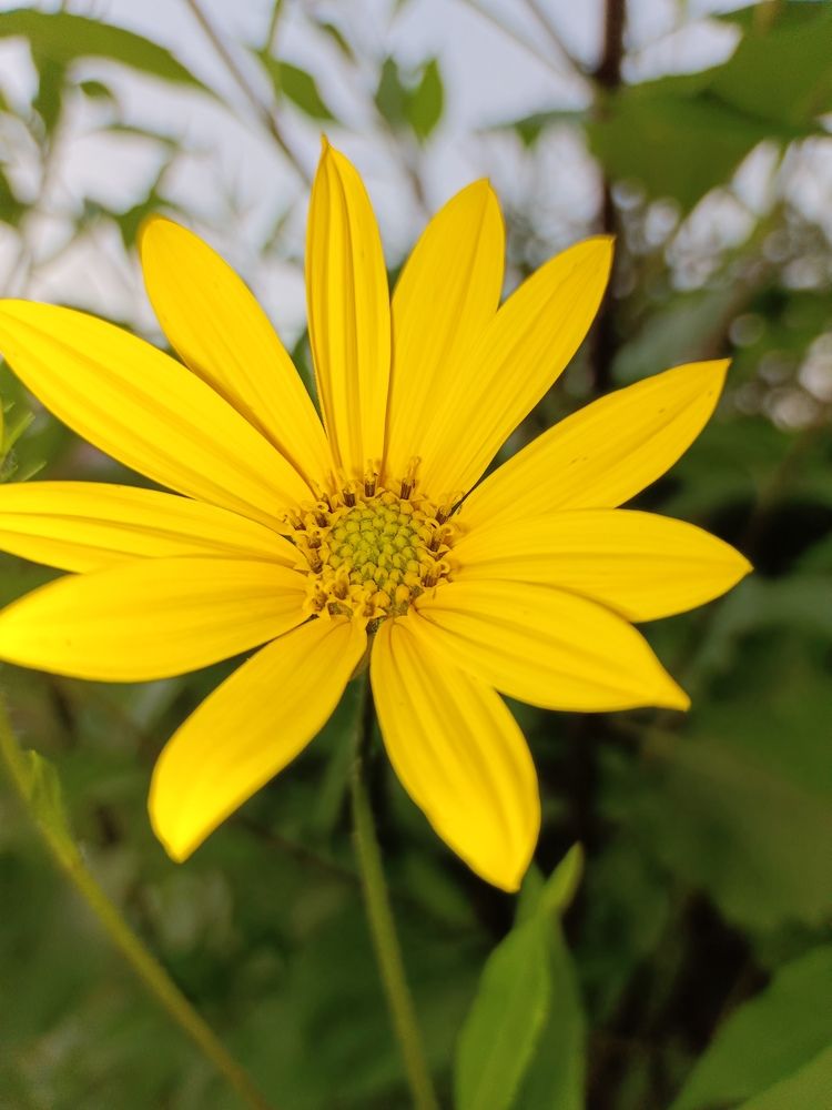 Фотография автора Андрей Занкович