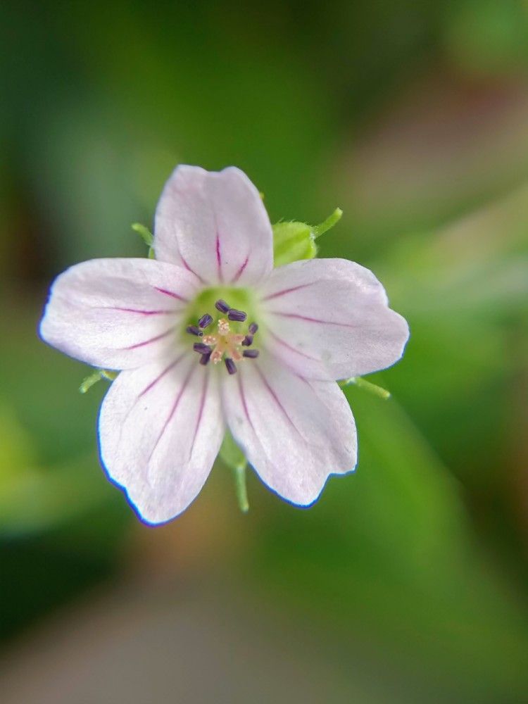 Photograph by Юлия Бурминская