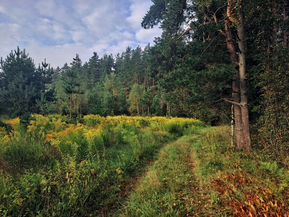 Photograph by Владимир Караман