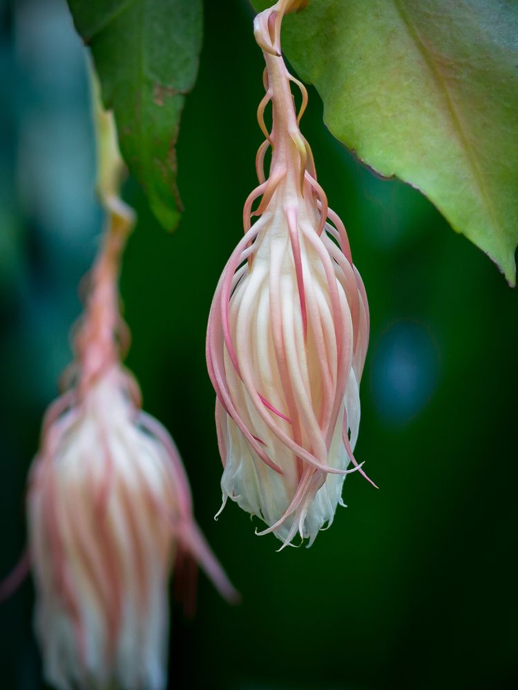 Photograph by Олег Дорошенко