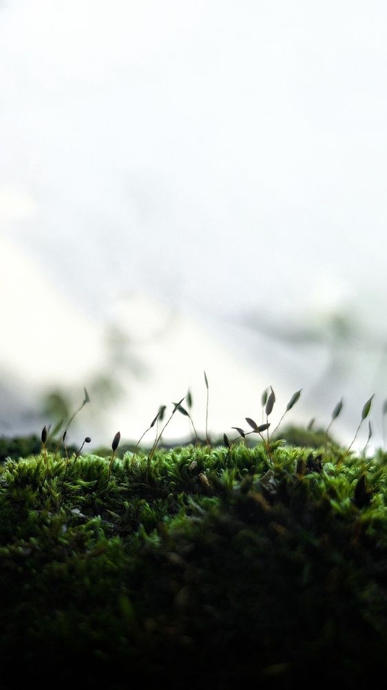 Photograph by Андрей Летов