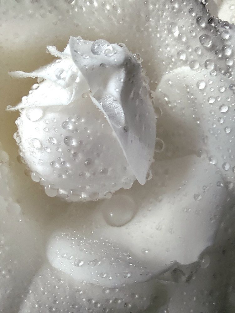 Photograph by Наталья Кириченко