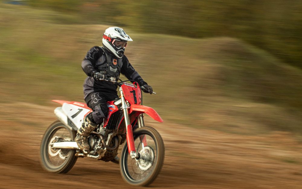 Фотография автора Екатерина Счасная