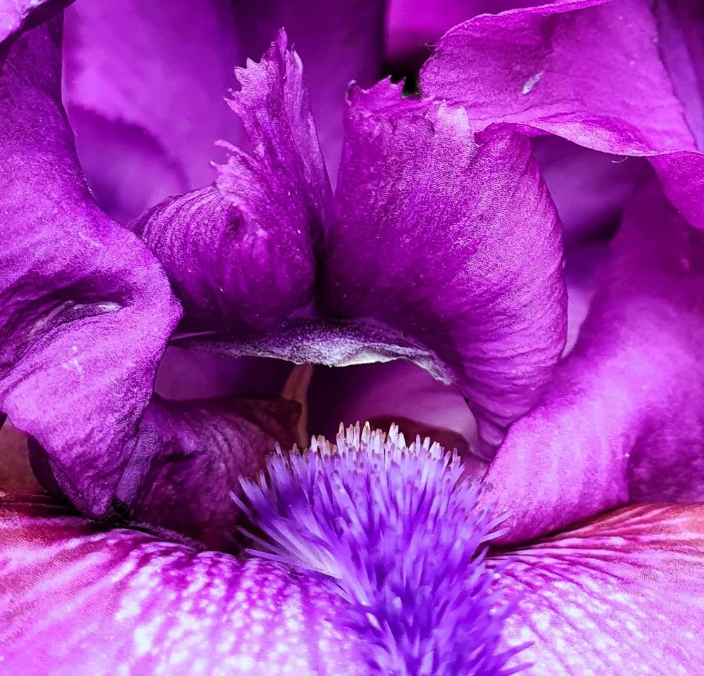 Photograph by Ева Кучугурова