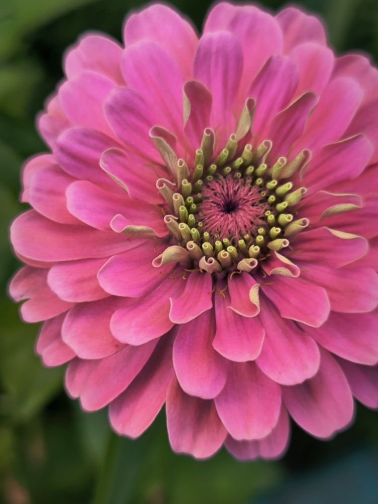 Photograph by Светлана Войта