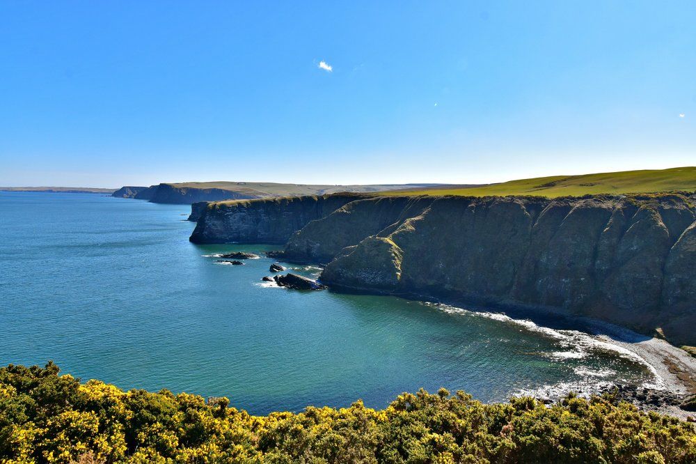 Troup Head - Scotland
