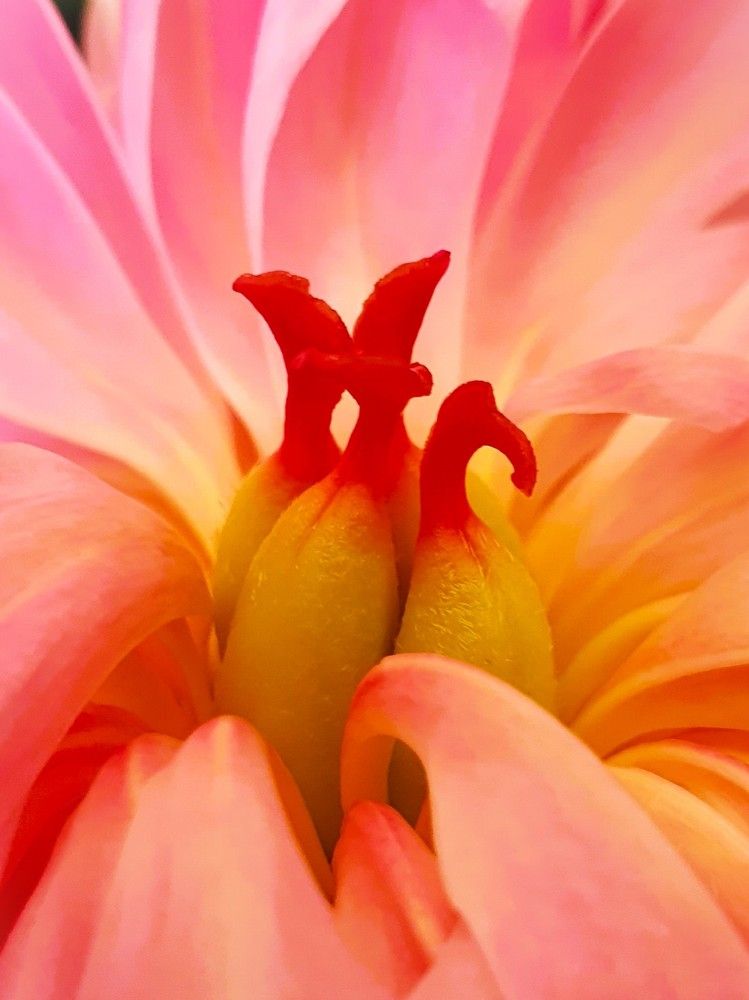 Photograph by Ева Кучугурова