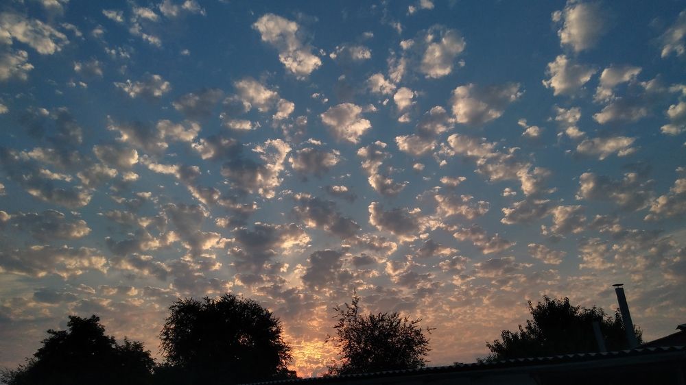 Photo #10983709