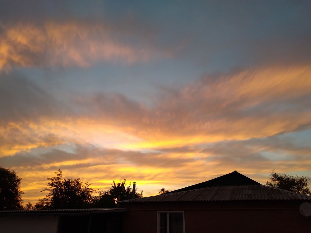 Photo #10983744