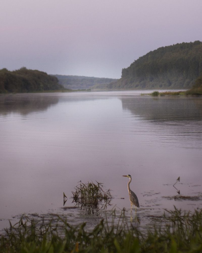 Photograph by Ирина