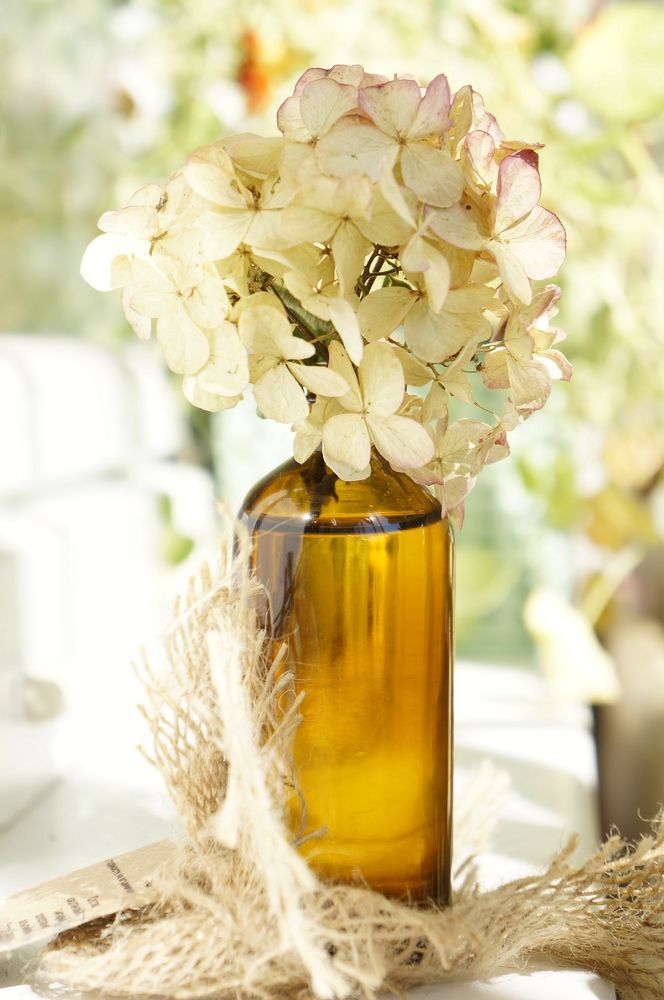 Photograph by Ирина