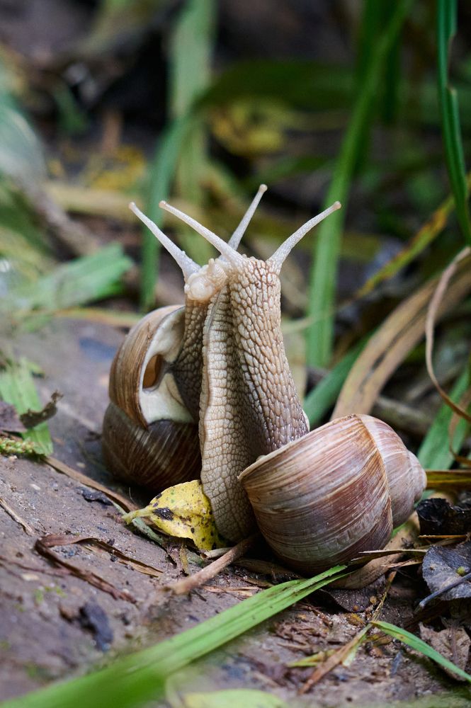 Photograph by Самосудов Рустам