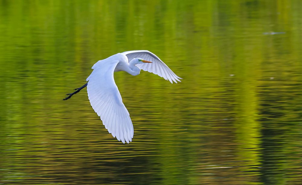 Photograph by Александр Есликов