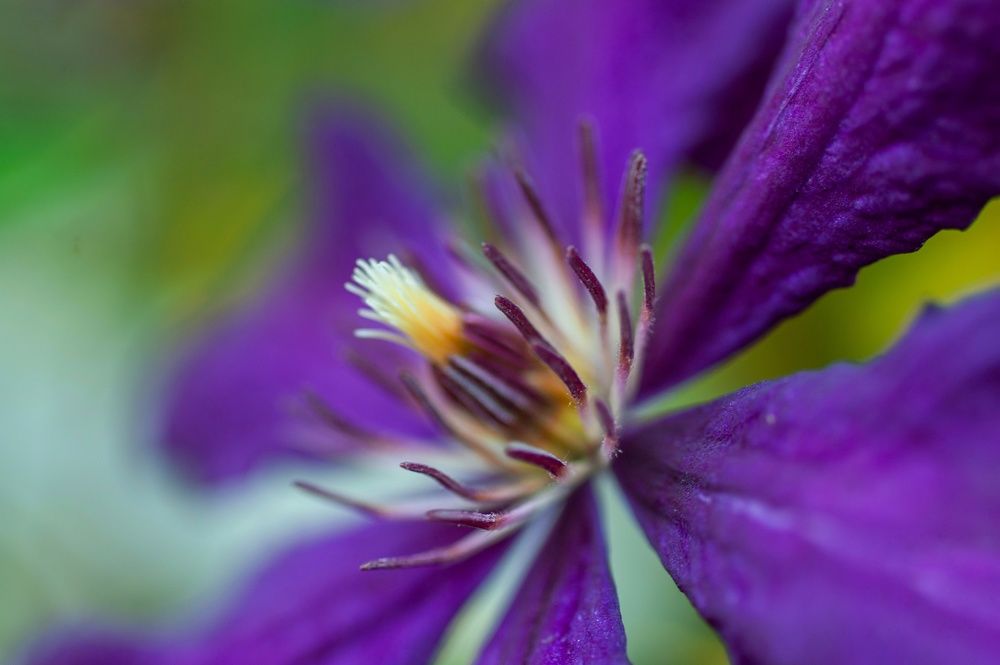 Photograph by Marina Mossiy