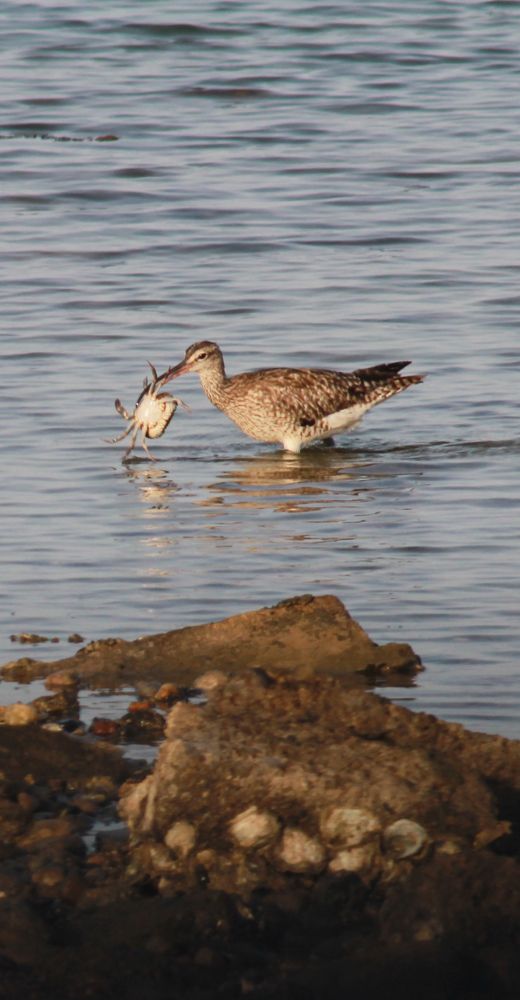 Photograph by Waleed Yousuf Alwahaibi