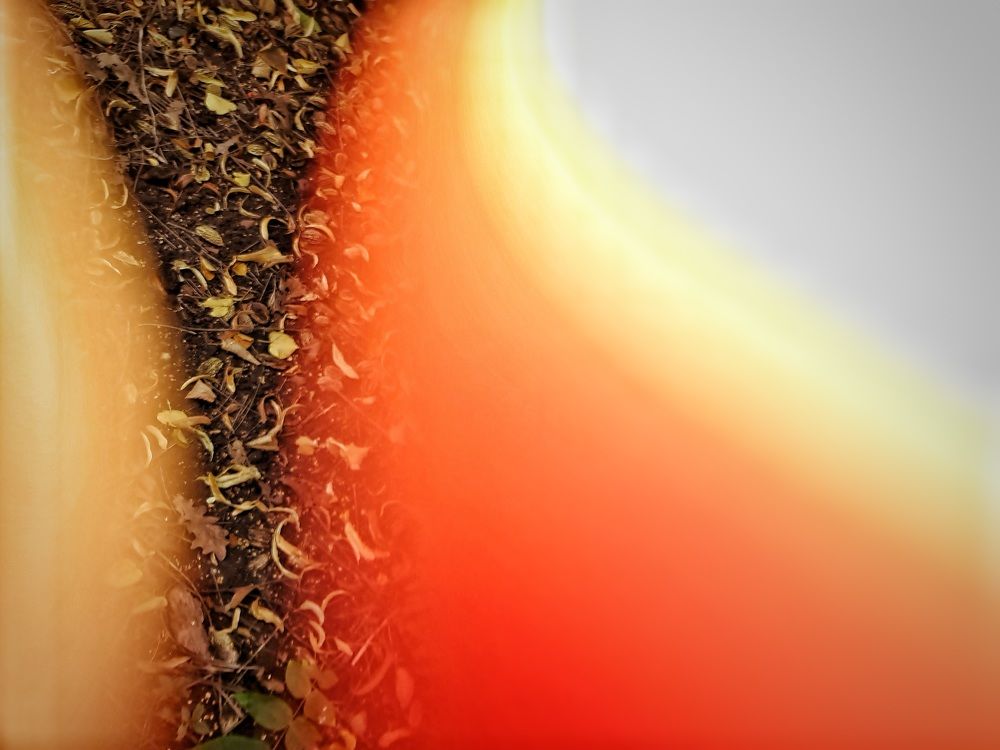 Photograph by Наталья Иванова