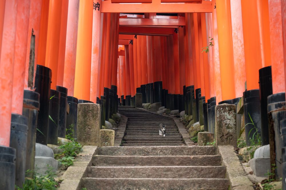 Photograph by Ellie Hayden