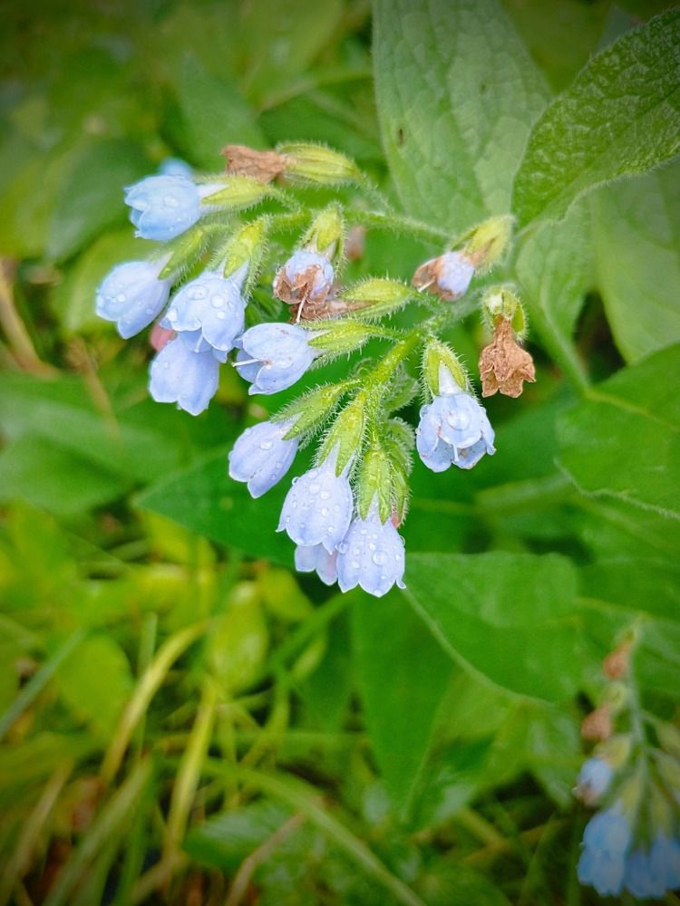 Photograph by София Бояринцева
