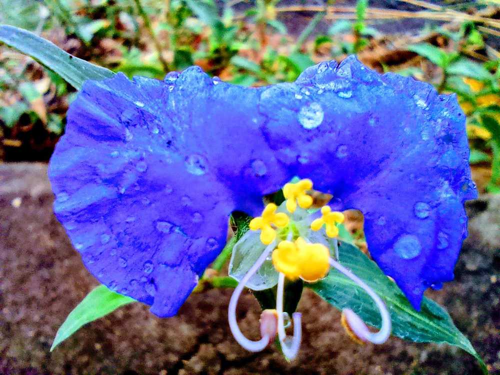 Photograph by Régis Santos