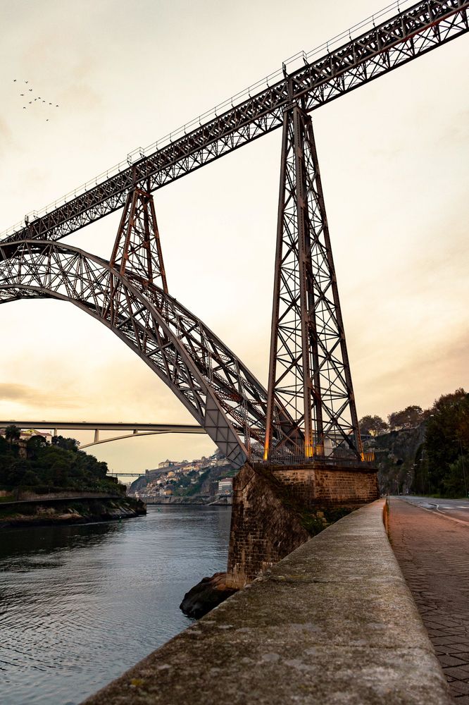 Фотография автора Catarina Almeida