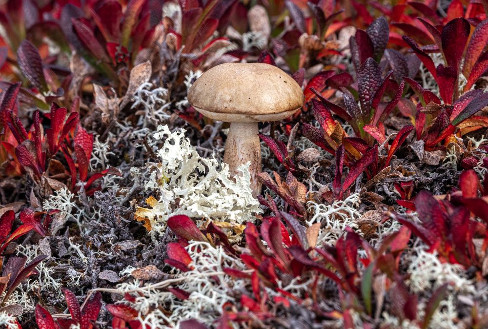 Фотография автора Савчук Сергей