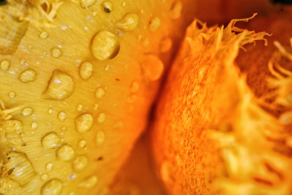 Photograph by amir ali navadeh shahla