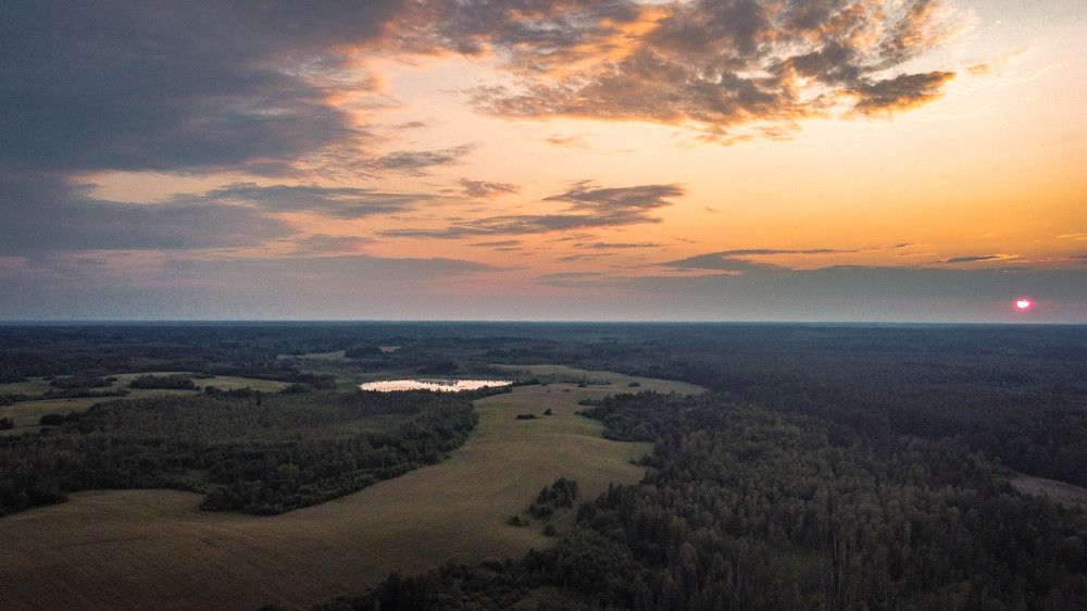 Photograph by Ольга Сафронова