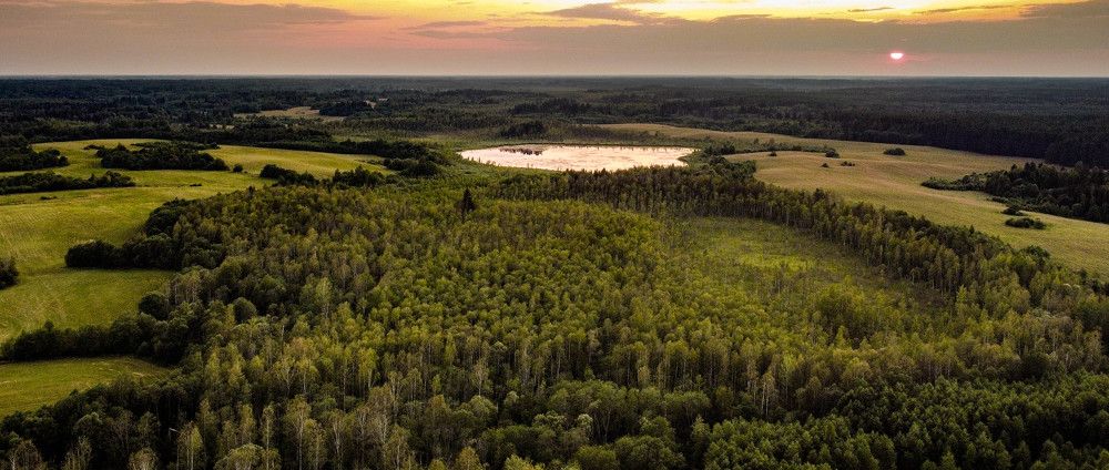 Photograph by Ольга Сафронова