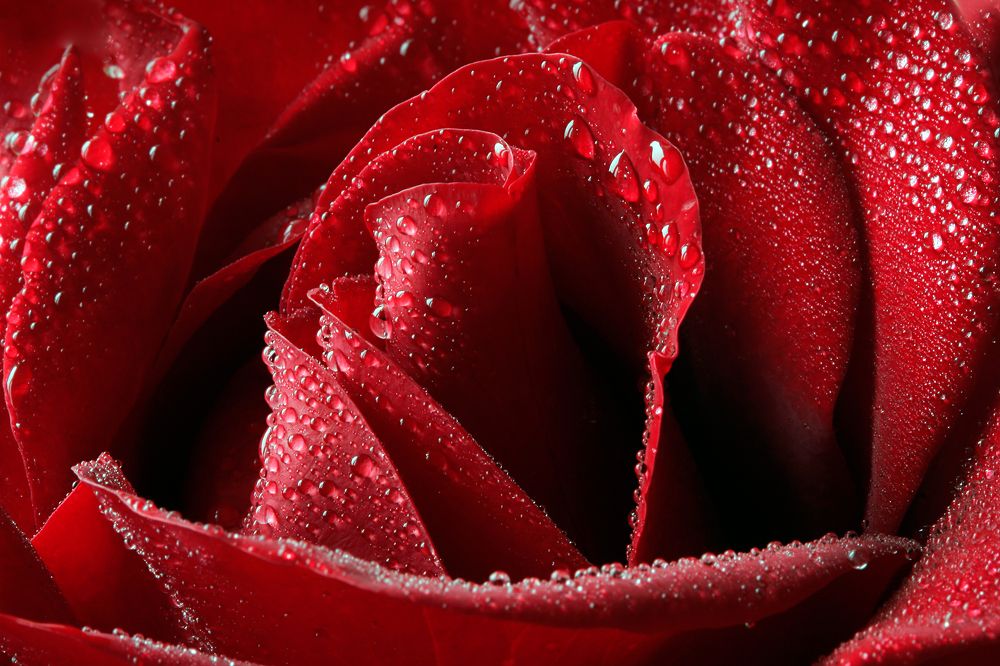 Фотография автора Dmitry Finkel