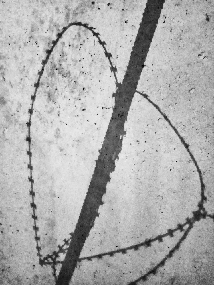 Photograph by Екатерина Бахтинова