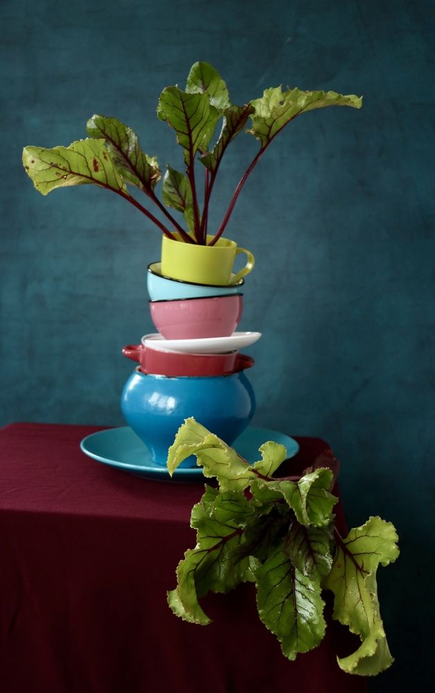 В ритме августа