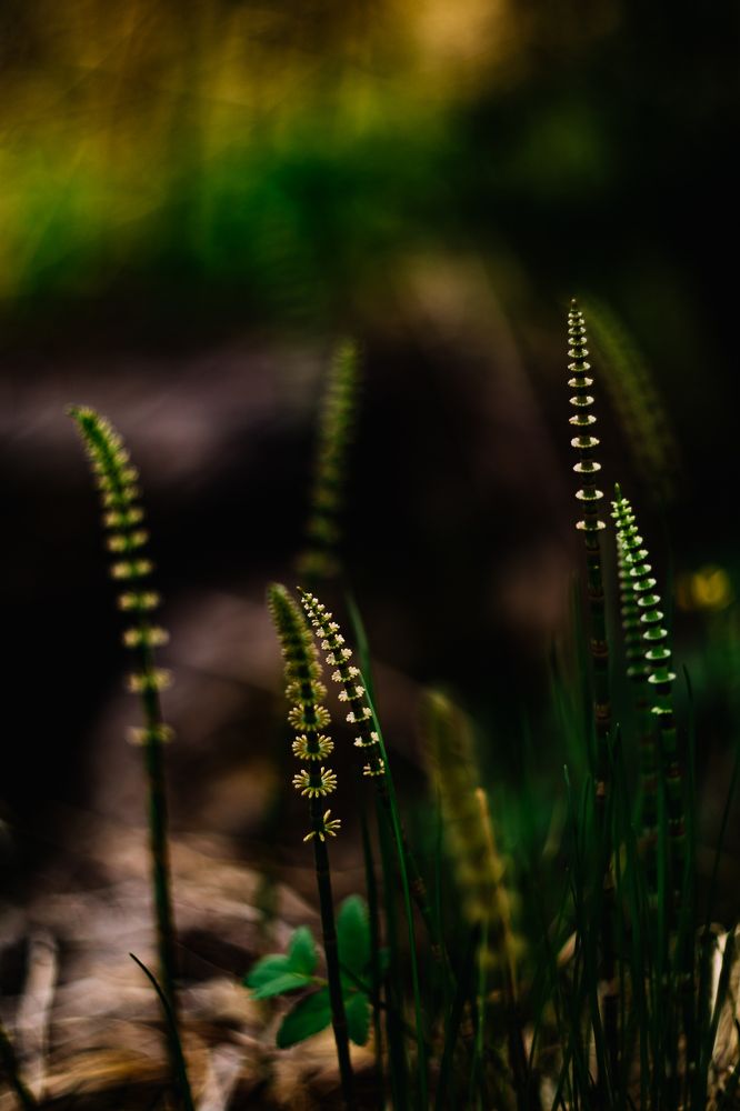 Photograph by Elena Kilina