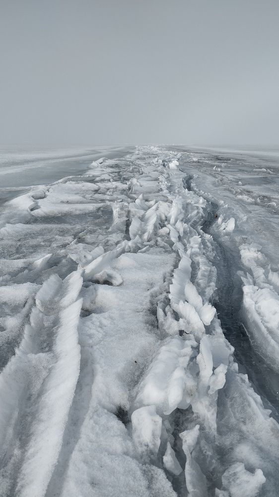 Photograph by Пальшенцева Анна