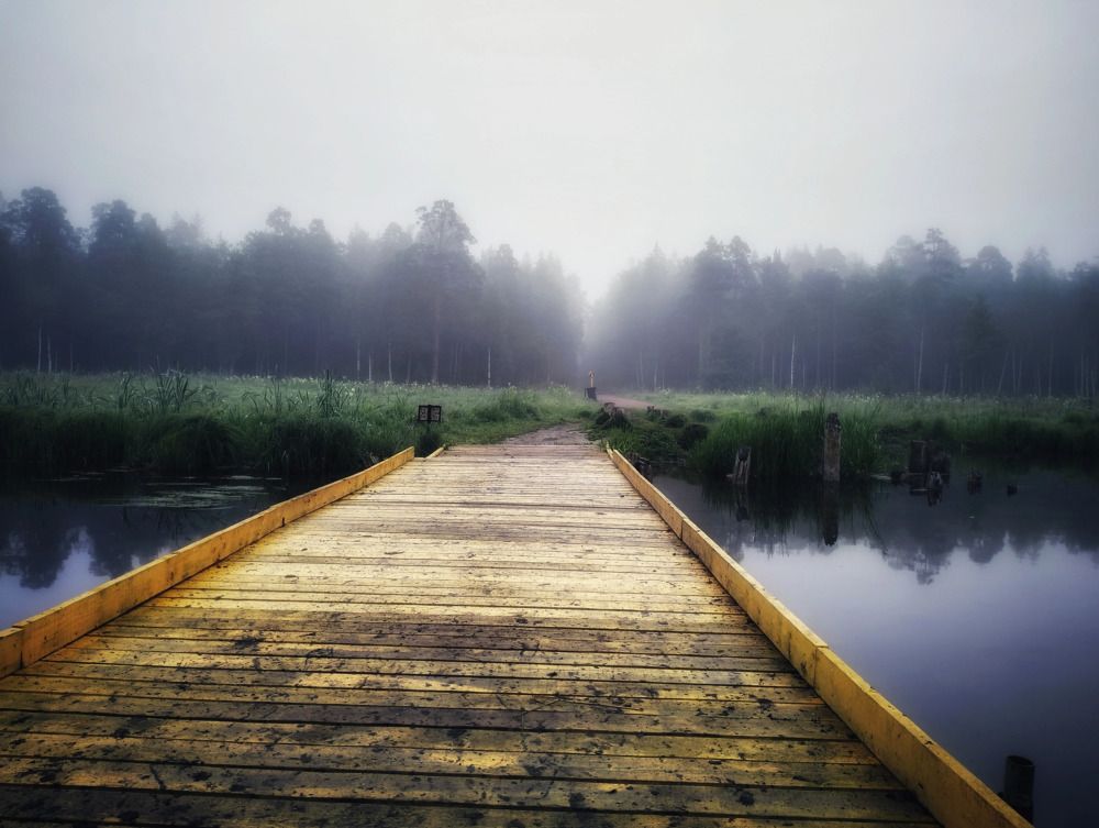 Photograph by Алексей Левичев