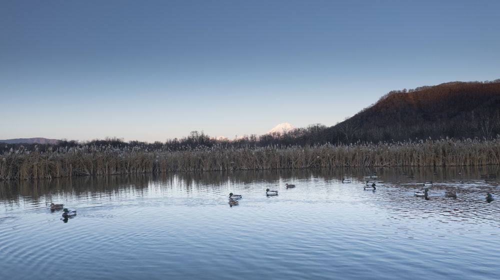 Photograph by Евгений