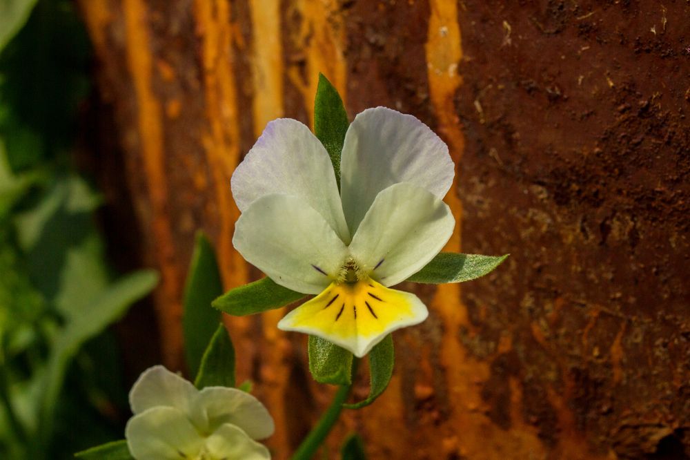 Photograph by Дмитрий Пасынков
